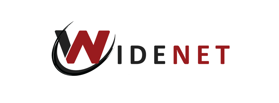 WideNet Consulting, LLC logo